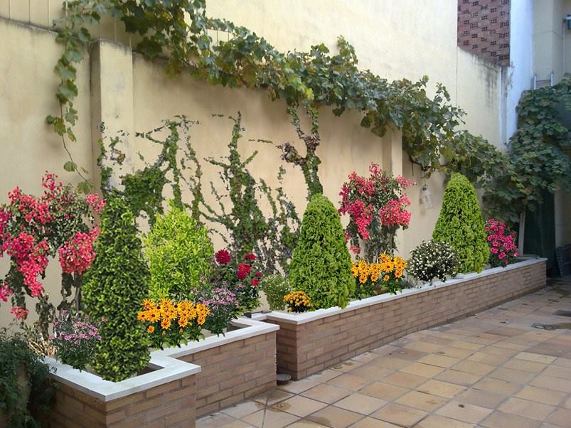 jardín-decorado-con-plantas-flores