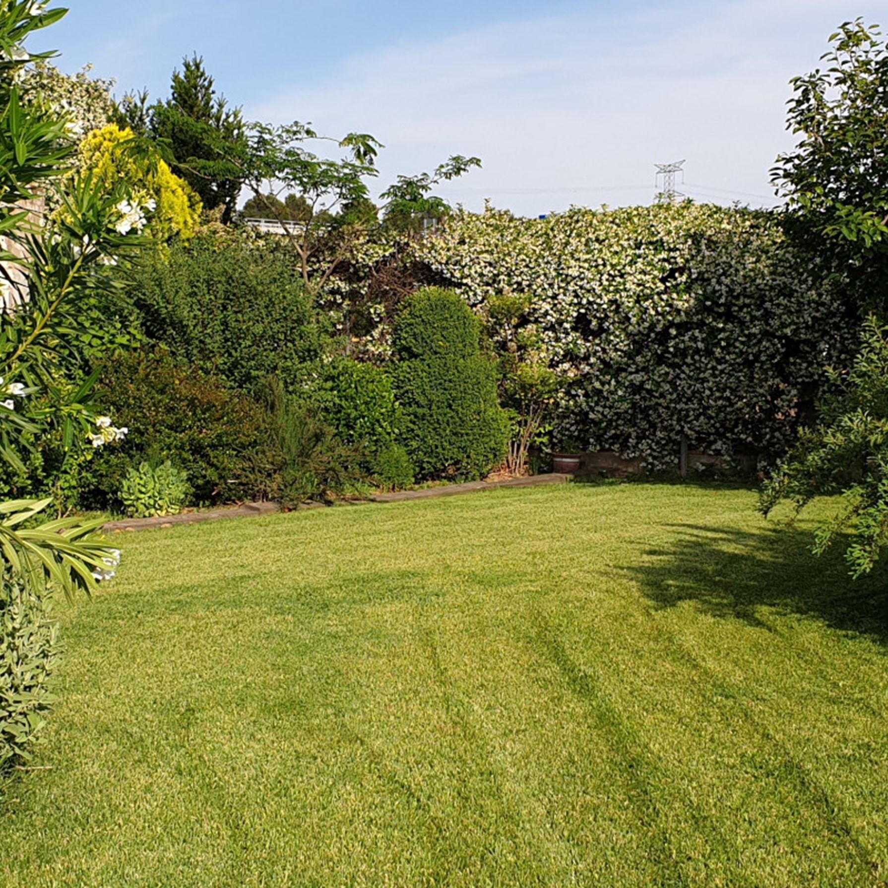 Jardinería El Campillo
