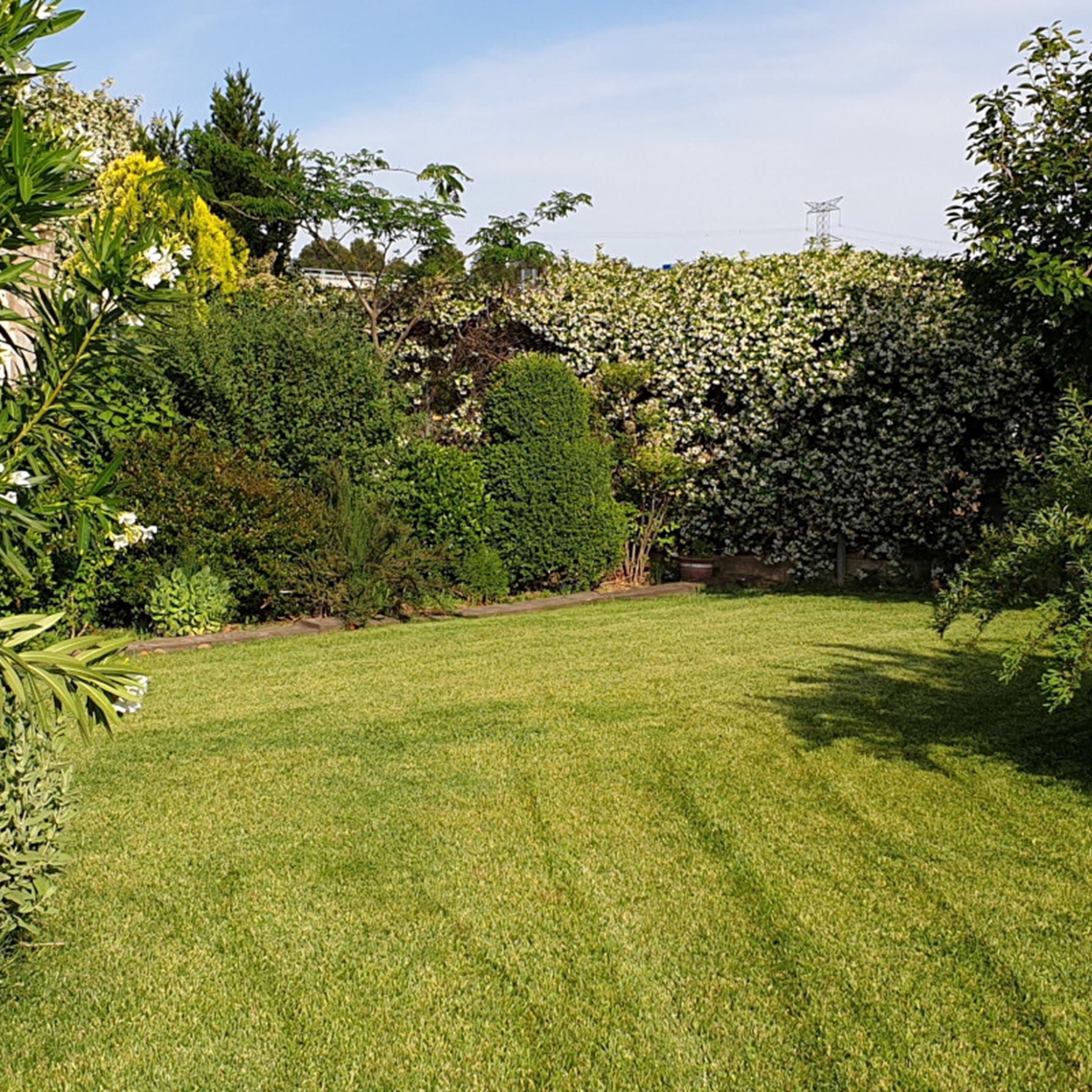 Jardinería El Campillo